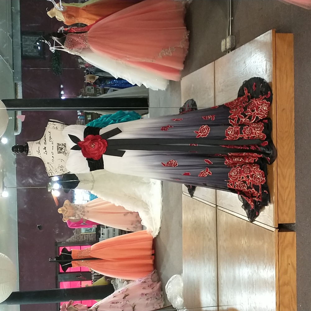 Terani Evening Gown